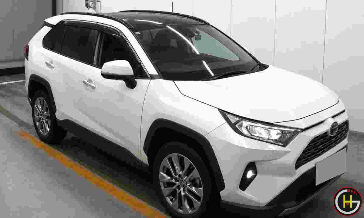 rav41.png
